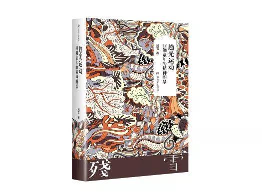 《趋光运动》湖南文艺出版社2017年2月版
