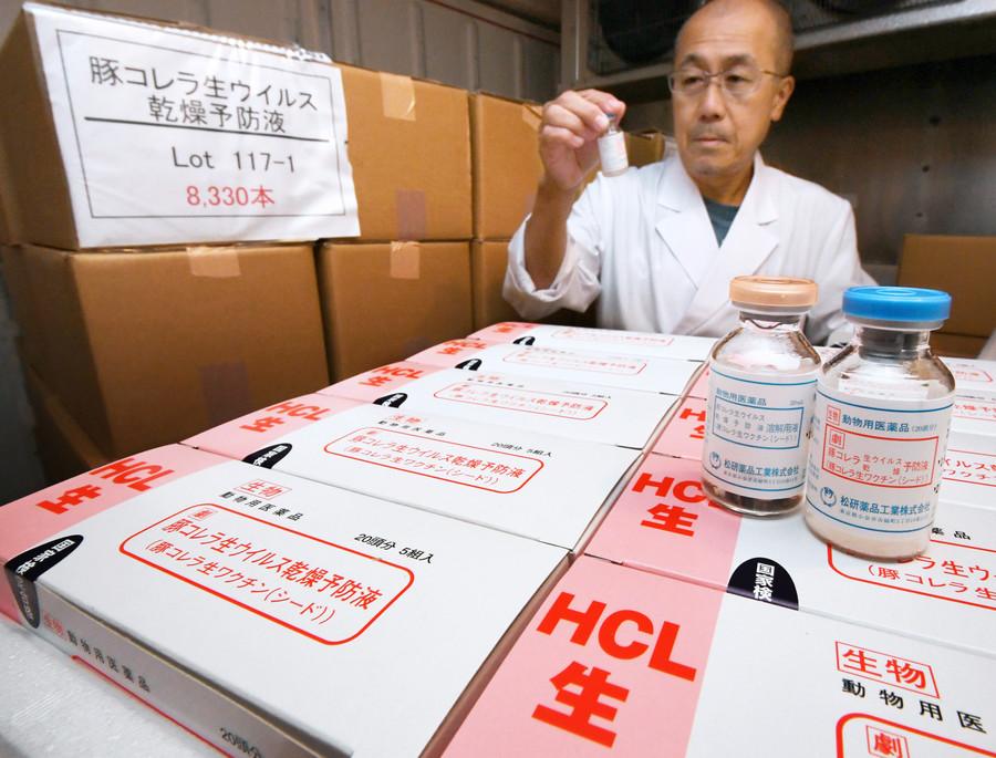日本一药品工厂正在增产猪瘟疫苗（日本农业新闻）