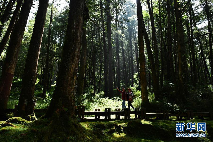 5 阿里山秋景如画