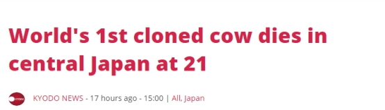 共同社英文版报道截图