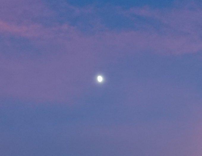 有网友拍到了紫色天空中的残月(Twiiter)