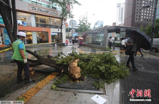 受台风等恶劣天气影响报告称韩国大米产量或将减少