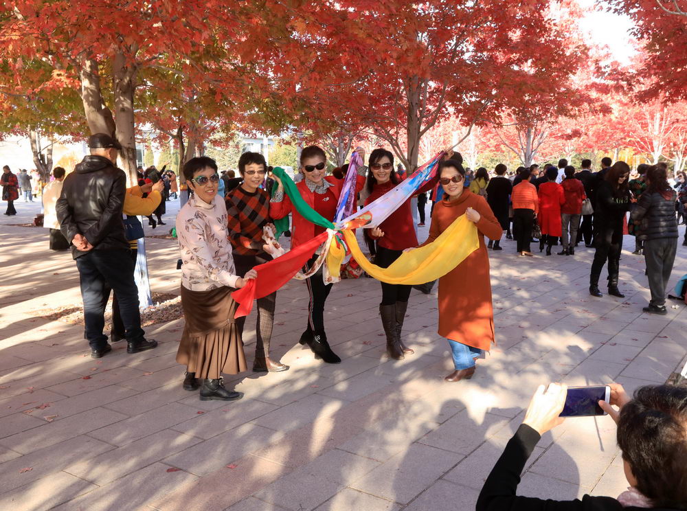 哈尔滨枫叶火红围巾成大妈拍照标配不离身