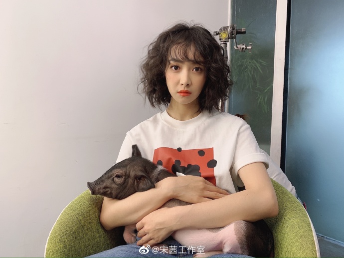 宋茜慵懒海藻卷造型超吸睛 怀抱小八变身时尚摩登女郎