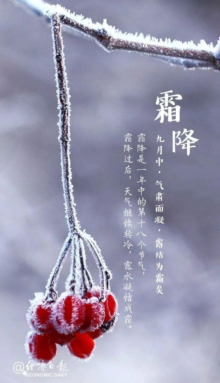 今日霜降丨霜降水返壑,风落木归山