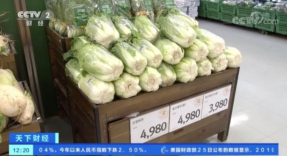 白菜价格暴涨 韩国主妇 腌不起泡菜了