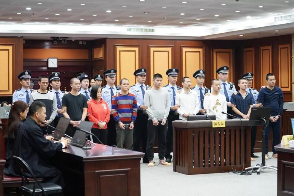 谢某吉,雷某锋,杨某昭,雷某永,黄某锋,周某德,杨某天等,上述成员均