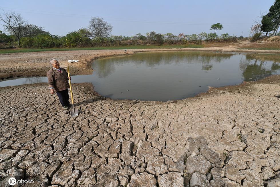 安徽持续干旱 水塘干涸部分粮田绝收