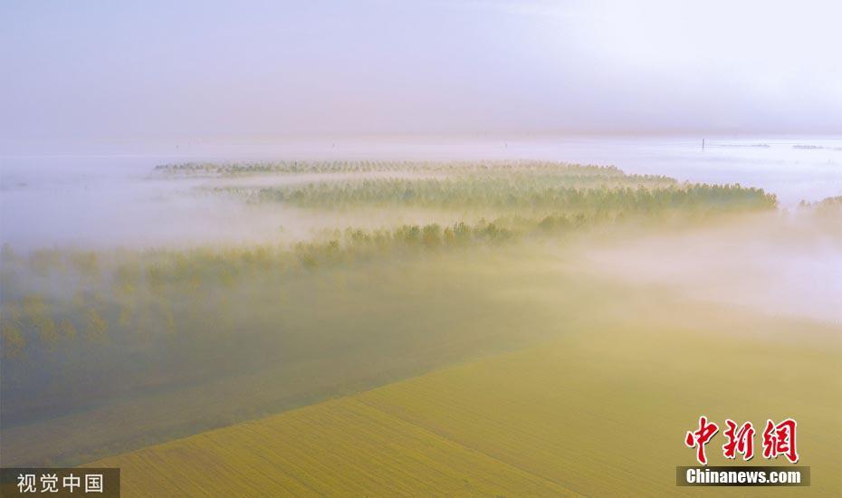 江苏古汴河畔秋雾笼罩如入仙境