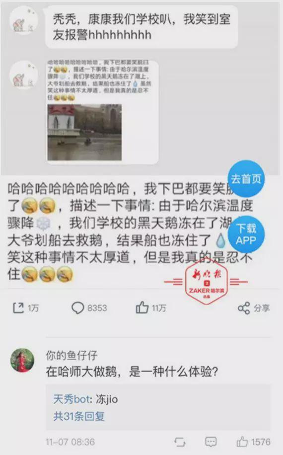 黑天鹅被冻湖面大爷