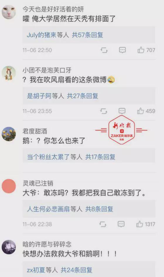 黑天鹅被冻湖面大爷