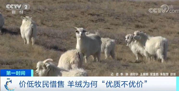 羊绒衫定制：品味与温度的艺术
