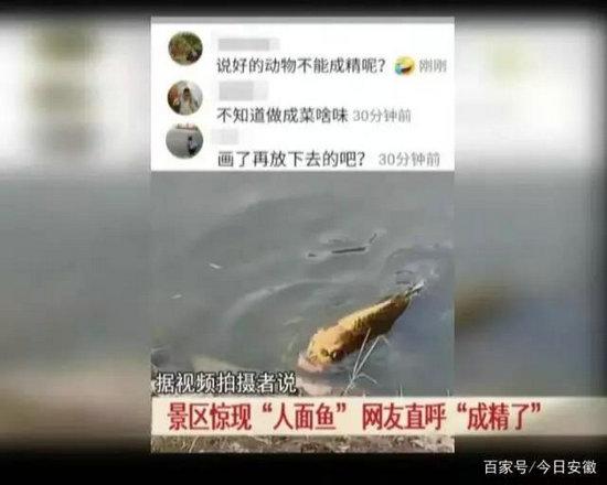 据视频拍摄者说，这条“人面鱼”饲养在云南民族村景区的湖中，是她无意中发现的。