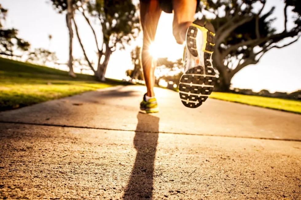 图片来源：视觉中国