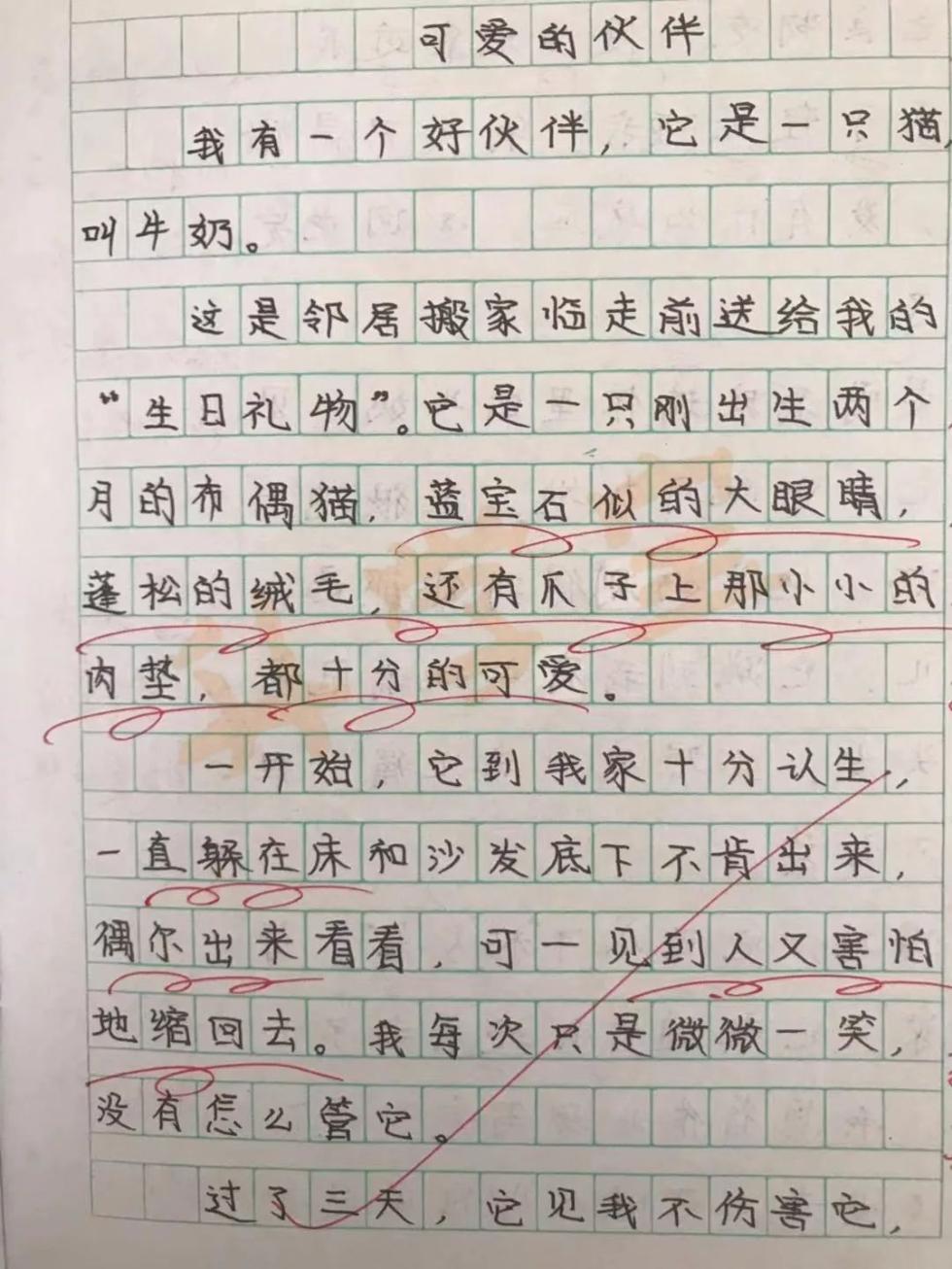 作文评语每次10000字！杭州一小学老师坚持26年，她都写了点啥？