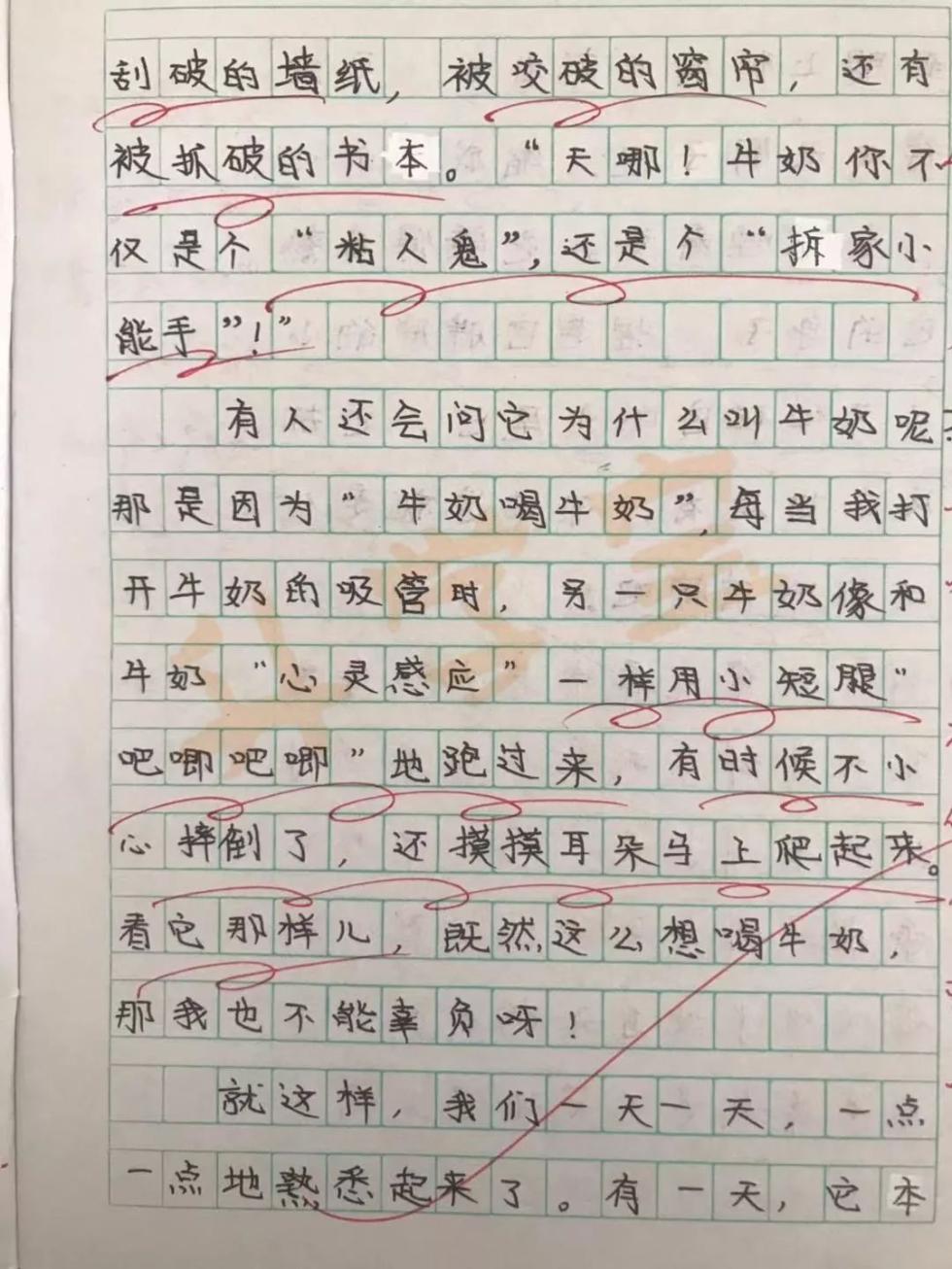 作文评语每次10000字！杭州一小学老师坚持26年，她都写了点啥？