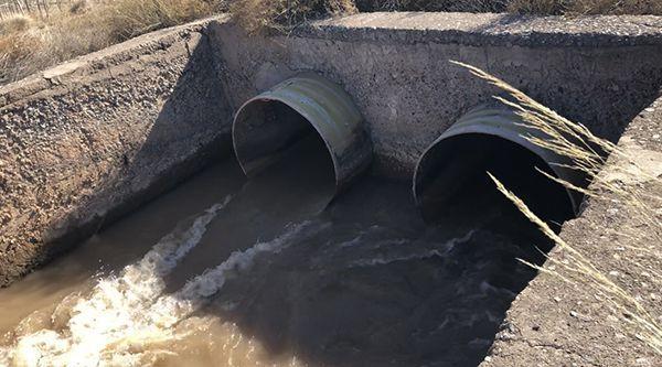 腾格里沙漠污染调查中冶纸业前身用污水灌溉速生林