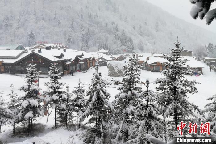 树挂悄然形成。雪乡风景区供图