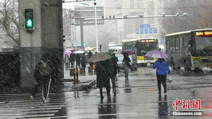 资料图：11月8日，乌鲁木齐市主城区迎来首场降雪，市民撑起雨伞出行。王小军 摄