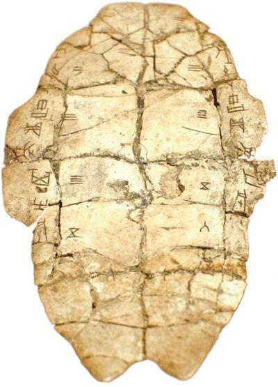 商代全甲刻辞，中国国家博物馆藏。