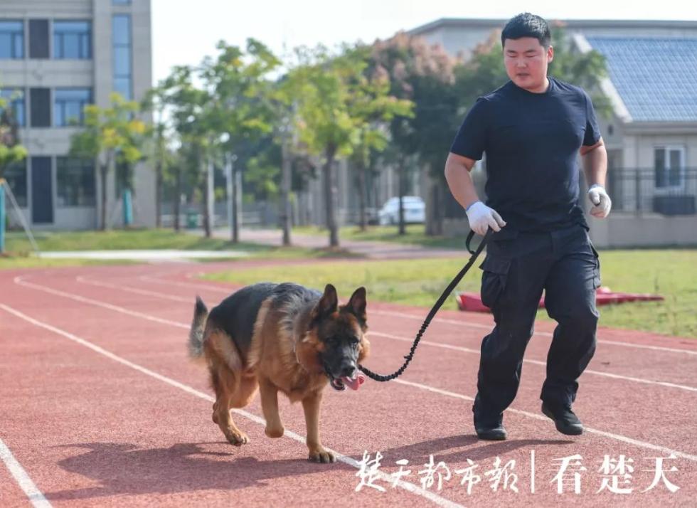 牵着警犬进行体能训练