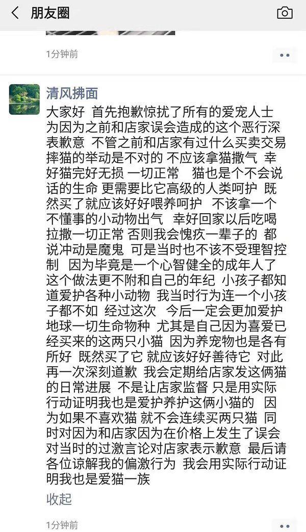 女子退猫未果将猫摔地狠踩 店家:女子已道歉猫没事