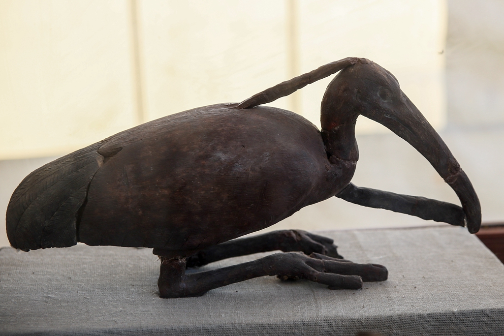 包括大量猫雕,狮型木乃伊和世界上最大的圣甲虫