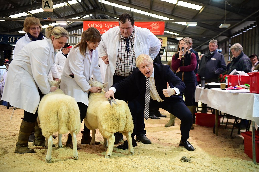 英国首相约翰逊参观冬季展会 “入乡随俗”剪起羊毛