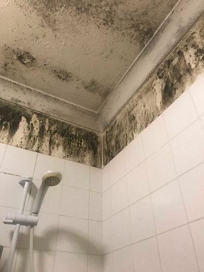 可怕!因在发霉公寓住了一年半 英国女子患上哮喘和抑郁症