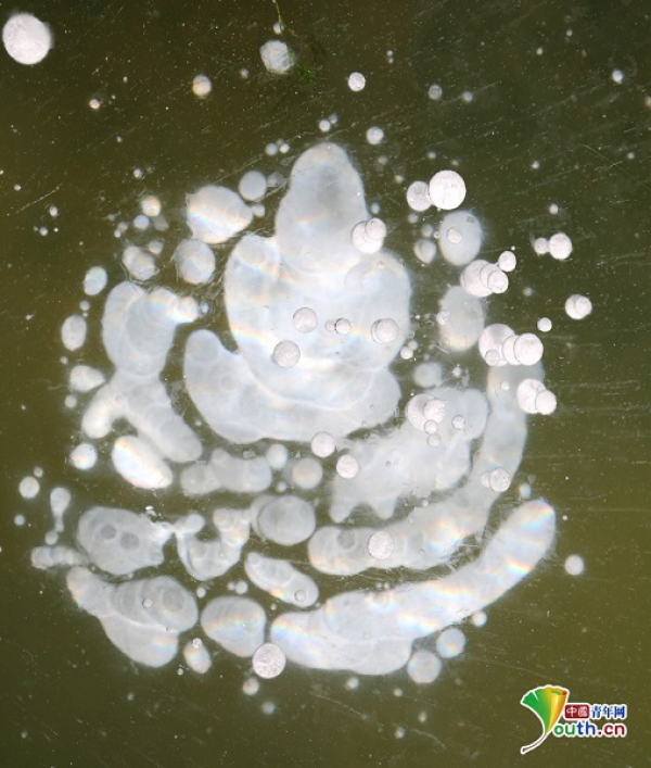 黑龙江漠河:出现“冰泡”奇观 美轮美奂
