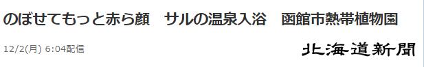 《北海道新闻》报道截图