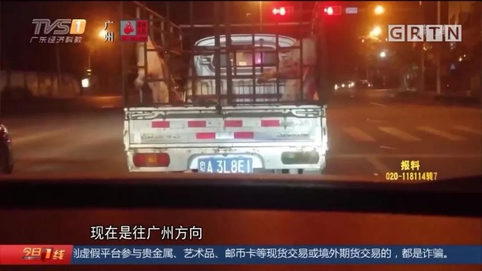 病死猪肉运往广州 桥段每日重复上演