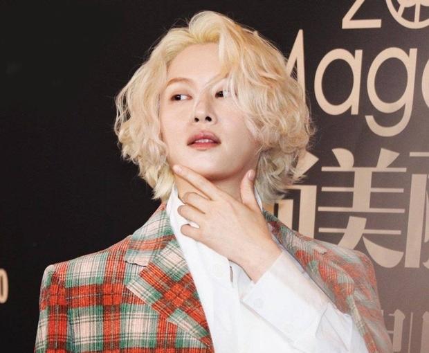 追星成功金希澈祝绪丹合影曾写小作文花式安利