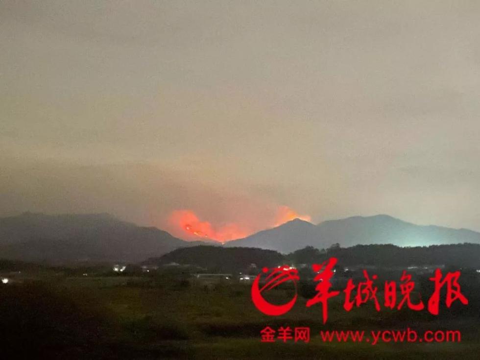 超千人全力扑救