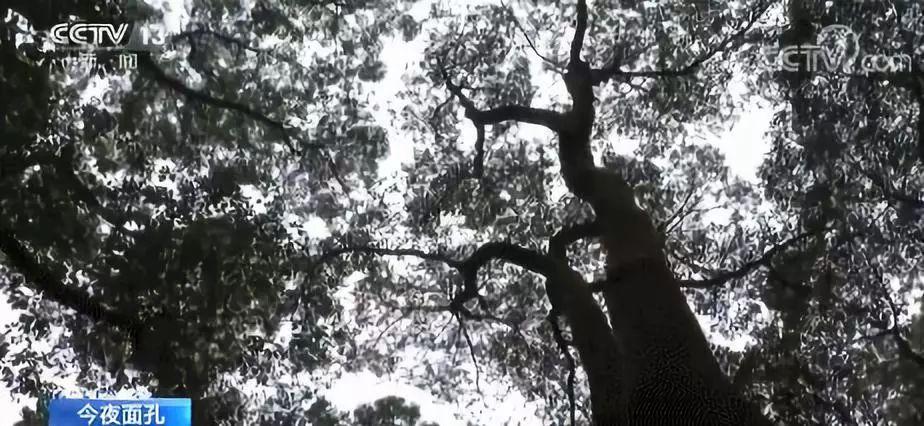 七旬老人奔走上百城市找工作,背后原因让人动容