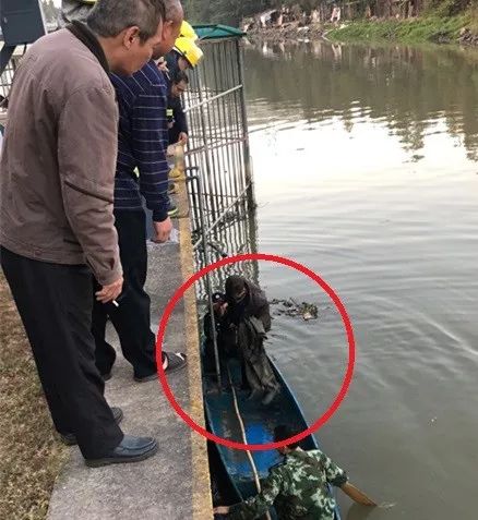 顺德一老渔民阴沟里翻船差点从水闸掉下危急之下