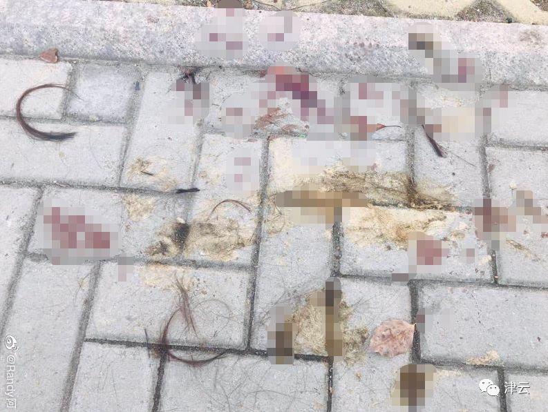 姜家亲属接受媒体采访时提供的一张孙某和林某某搂抱的照片