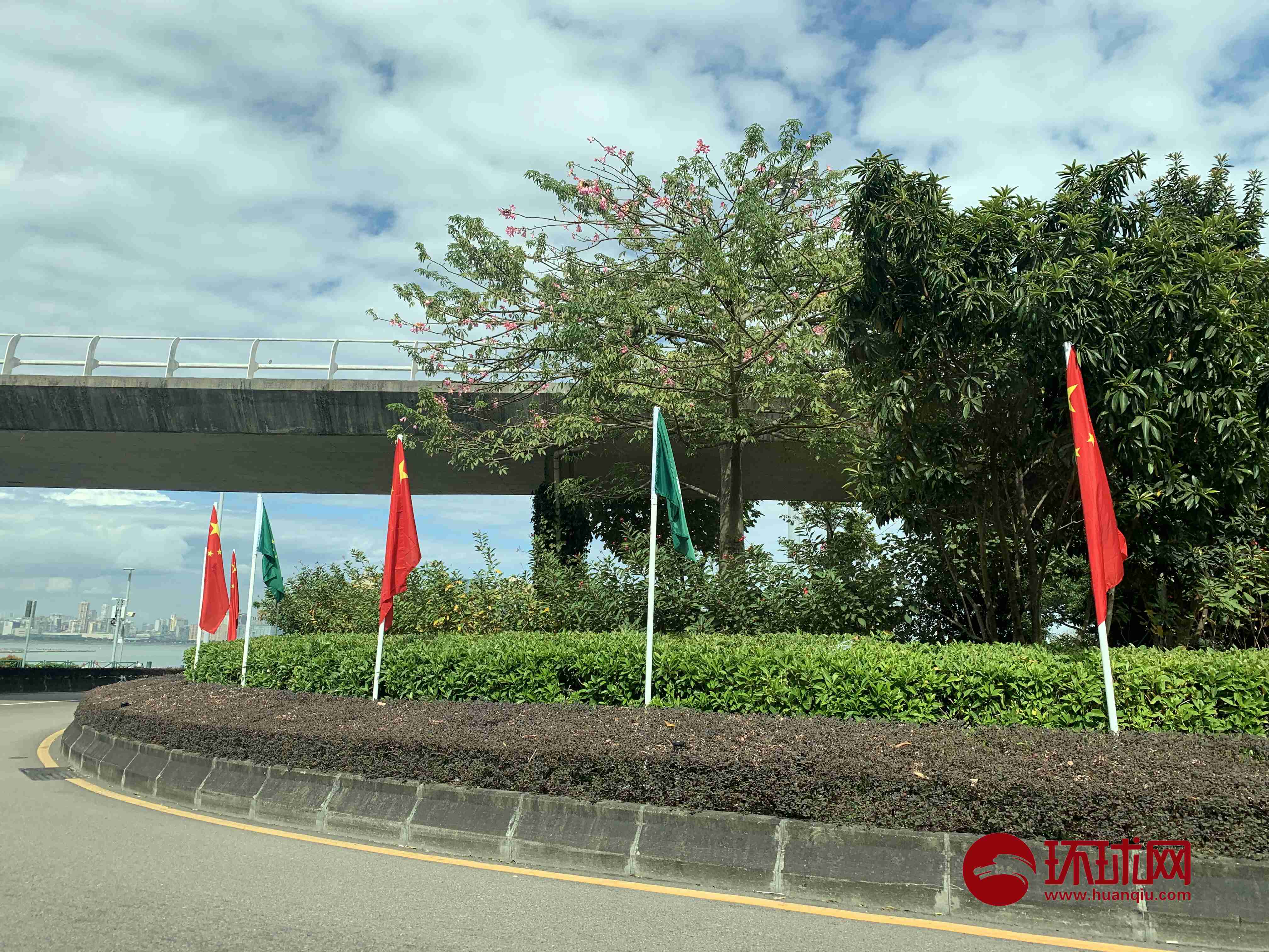 喜迎回归祖国20周年 澳门街头五星红旗和莲花旗飘扬