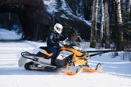 2020哈尔滨皮草排名_2020哈尔滨寒地博览会将于1月5日启幕