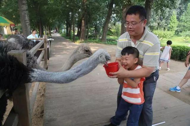学习和训练之外，父子俩一同去动物园