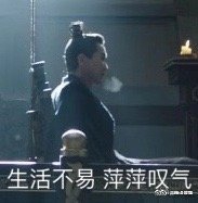 陈萍萍表情包