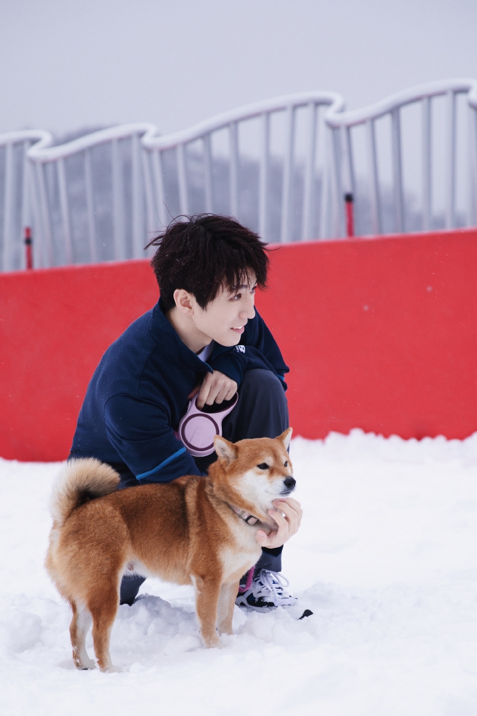 王俊凯冬日雪景大片明媚可爱少年怀抱柴犬暖意盎然