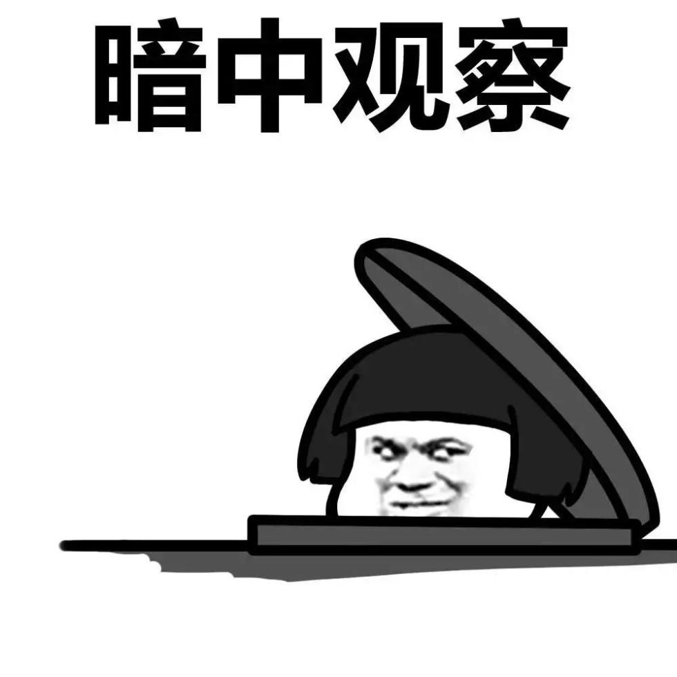 猫头鹰住进厨房工作人员清理鸟巢时它还停在树梢观望