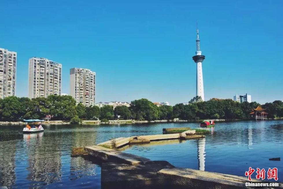 第50届全国药材药品交易会在“中国药都”江西樟树开幕。 姜涛 摄