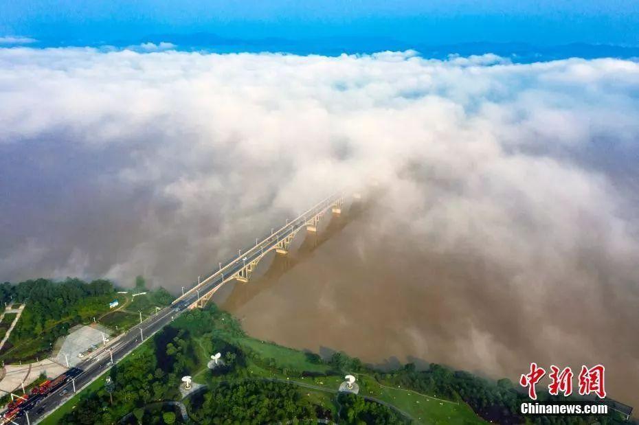 泰和稻田。邓和平 摄