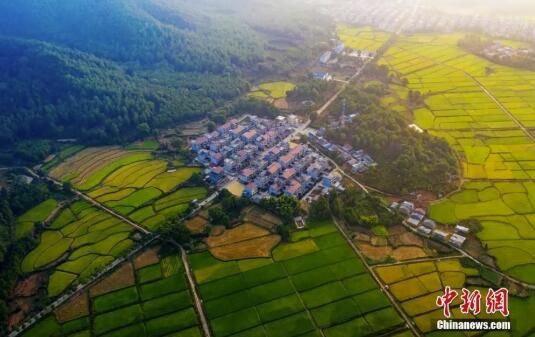 航拍江西省吉安市吉水县的秀美乡村。李小明 摄