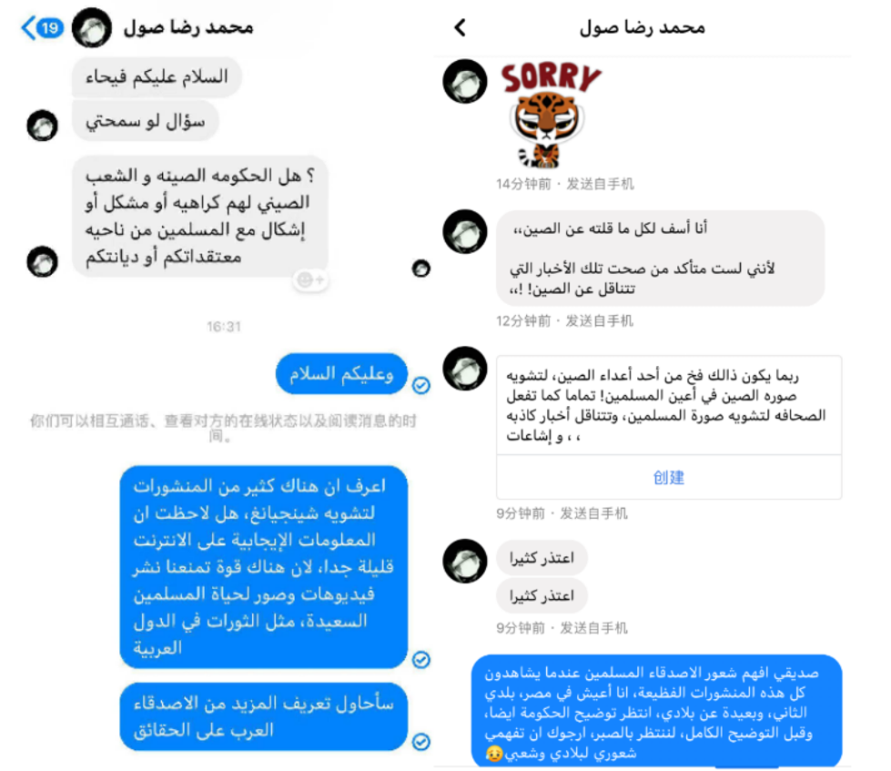 △王馨在脸书上与网友Mohamed Reda Sul耐心沟通。