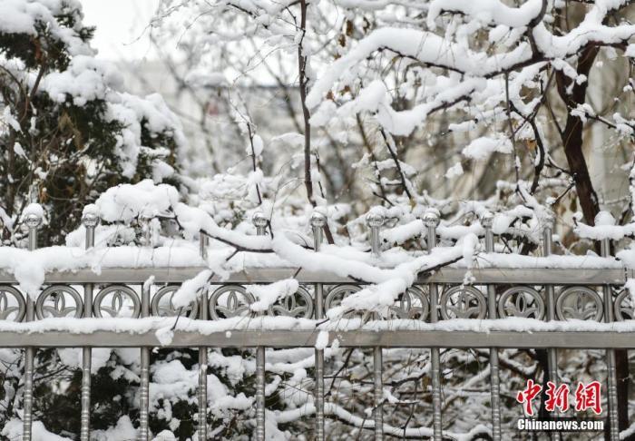 资料图：1月5日晚，北京2020年第一场雪如期“到货”，全市普降中到大雪。中新网记者 翟璐 摄