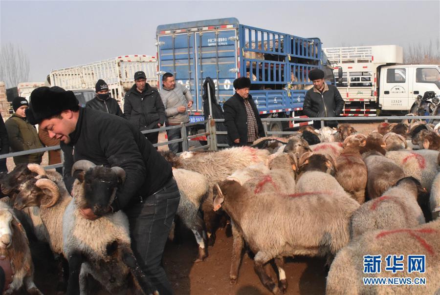 新疆喀什“牛羊巴扎”成农牧民“聚宝盆”
