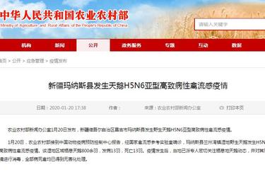 农业农村部:新疆玛纳斯县发生天鹅H5N6亚型高致病性禽流感疫情